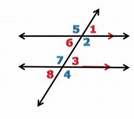 transversal